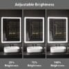 Atlanta 450x600mm LED Vanity Mirror