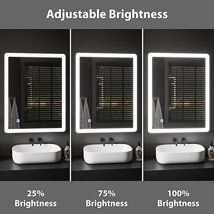 Atlanta 450x600mm LED Vanity Mirror